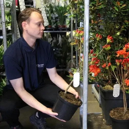 Binnenmelder / Kwaliteitscontroleur Potplanten