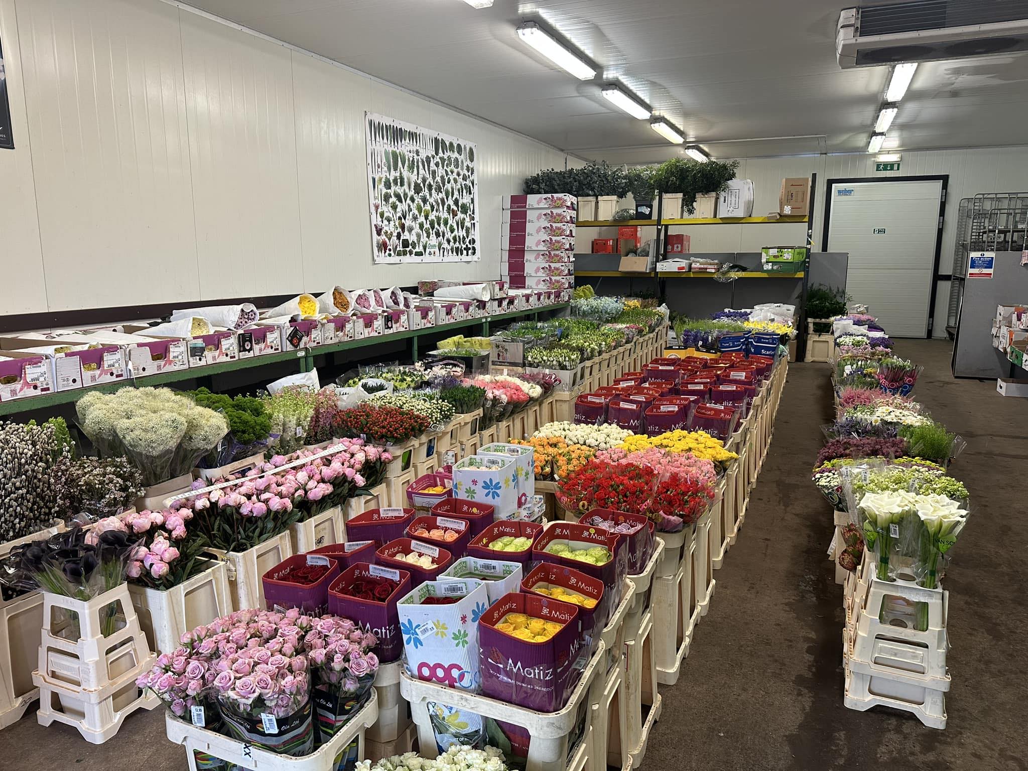 Van VLIET Webshop – Buy Flowers, Plants & Sundries Online