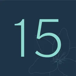 Mother’s Day (UK/IE)