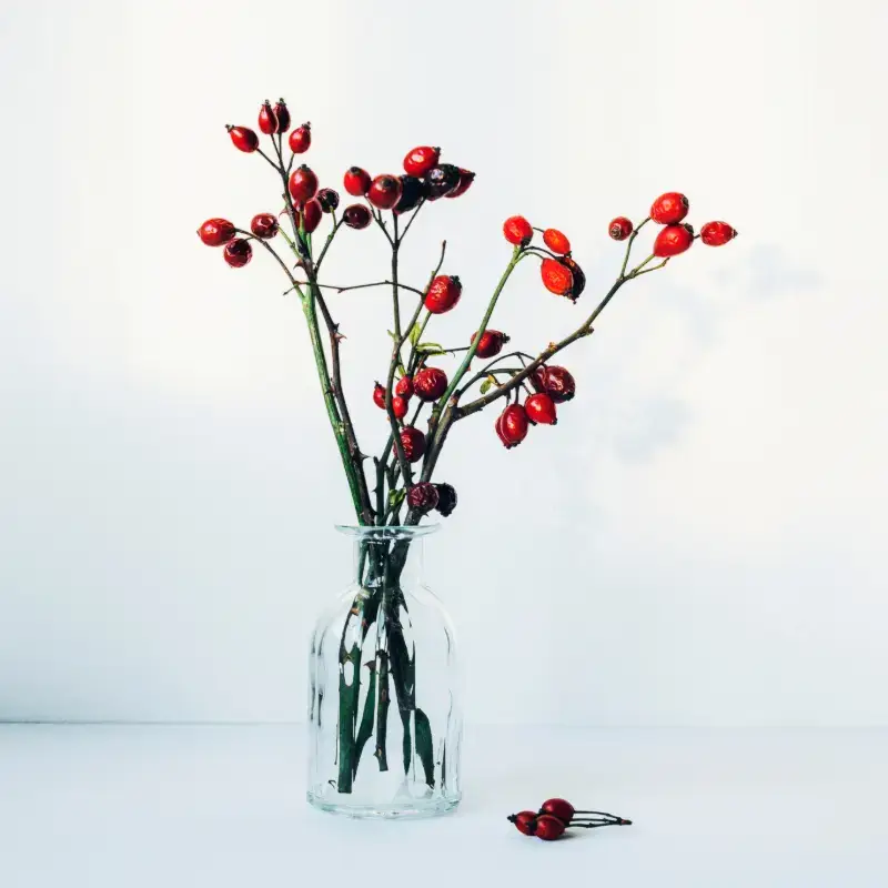 Rose Hips